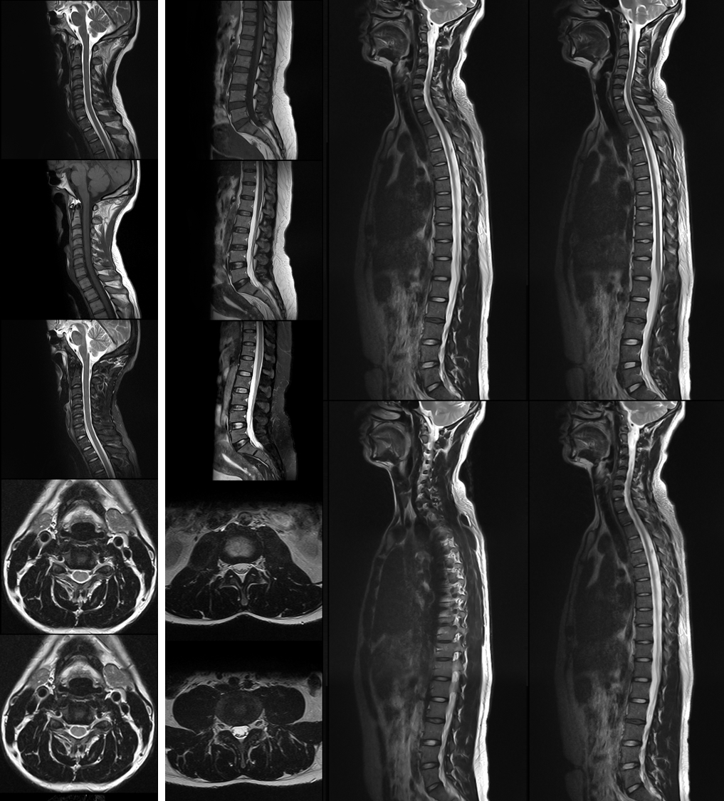 醫(yī)療科技事業(yè)部