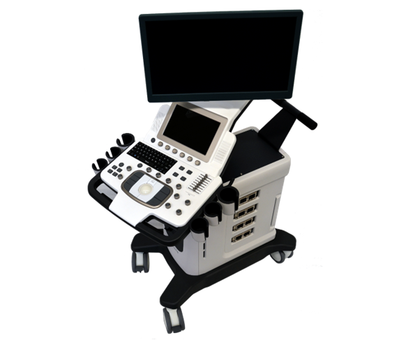 超聲系統(tǒng)（US）